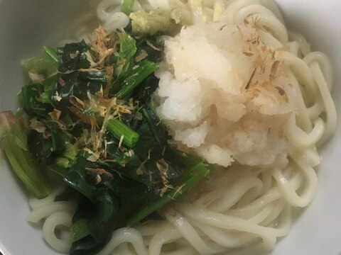 ほうれん草のおろし釜揚げうどん